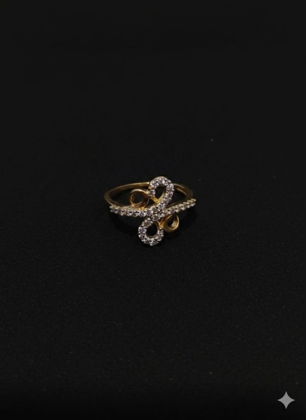 WhatsApp Image 2026-02-09 at 12.06.08 PM (1)