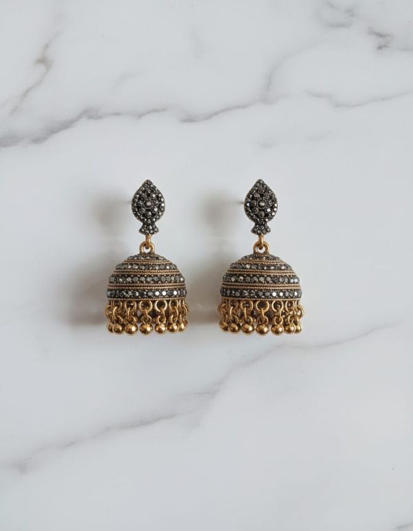 WhatsApp Image 2026-02-11 at 1.58.35 PM (1)